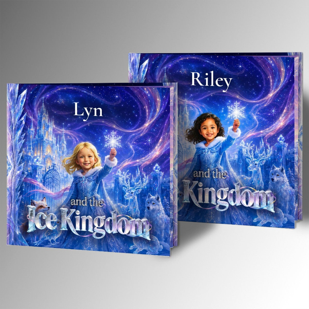The Ice Kingdom